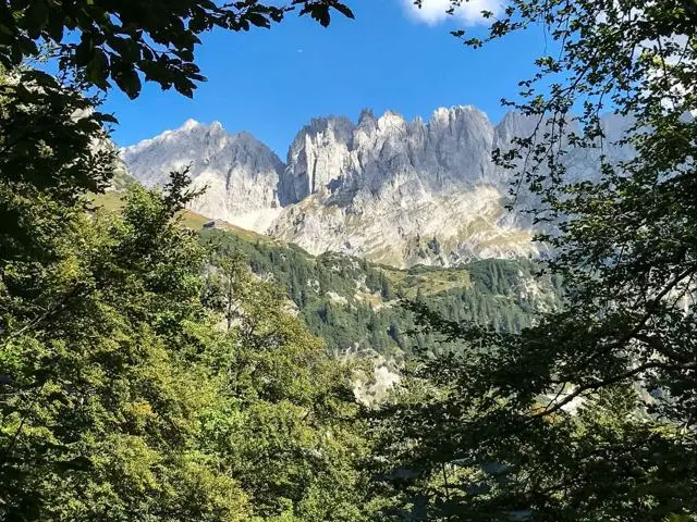 Wanderung Wochenbrunnalm – Gruttenhütte – Foto 7