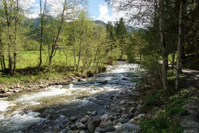 Wanderung Lendwirt – Käsealm Straubing – Foto 7