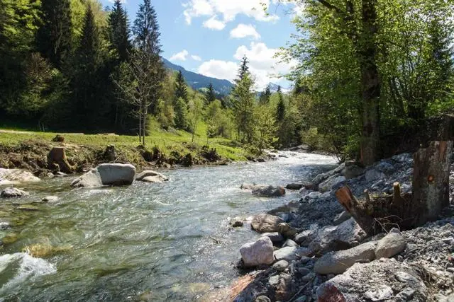 Wanderung Lendwirt – Käsealm Straubing – Foto 8