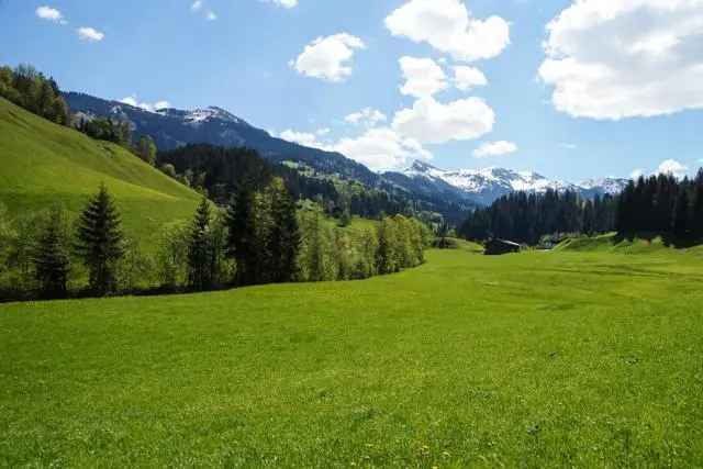 Wanderung Lendwirt – Käsealm Straubing – Foto 9