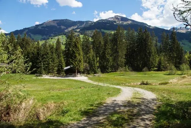 Wanderung Lendwirt – Käsealm Straubing – Foto 11