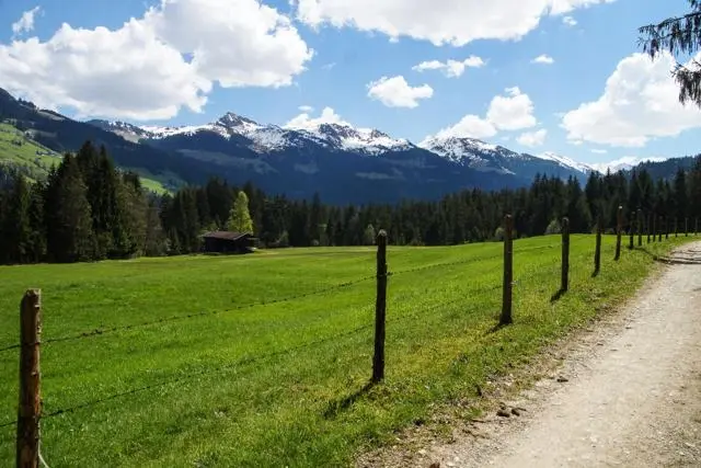 Wanderung Lendwirt – Käsealm Straubing – Foto 15