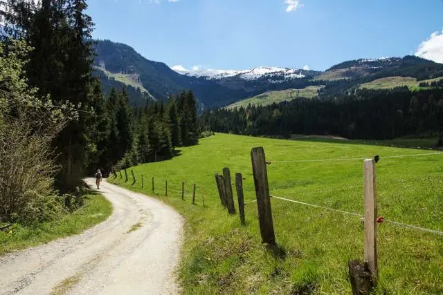 Wanderung Lendwirt – Käsealm Straubing – Foto 16