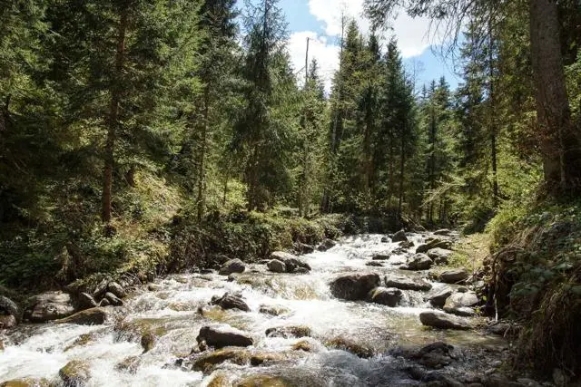 Wanderung Lendwirt – Käsealm Straubing – Foto 17