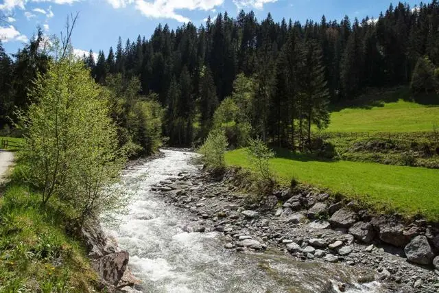 Wanderung Lendwirt – Käsealm Straubing – Foto 18