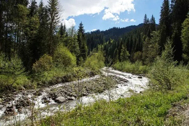 Wanderung Lendwirt – Käsealm Straubing – Foto 21