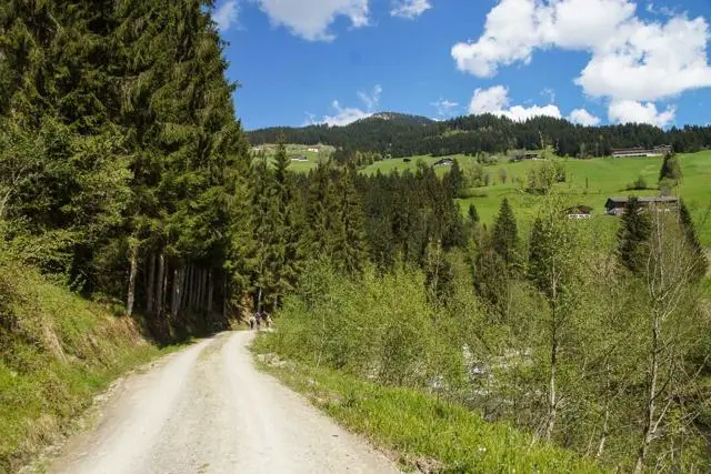 Wanderung Lendwirt – Käsealm Straubing – Foto 22