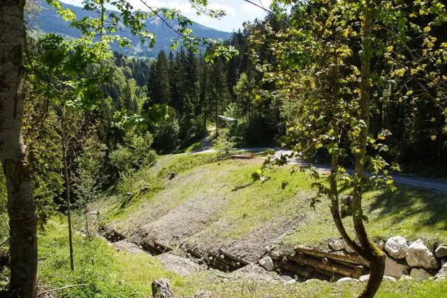 Wanderung Lendwirt – Kienzlinger Alm – Käsealm Straubing – Foto 3