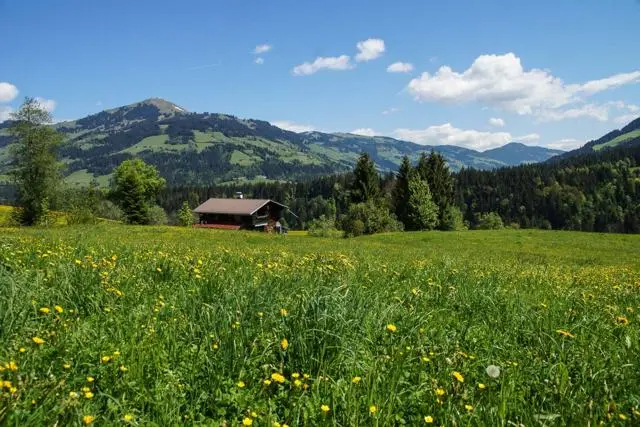 Wanderung Lendwirt – Kienzlinger Alm – Käsealm Straubing – Foto 4