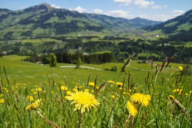 Wanderung Lendwirt – Kienzlinger Alm – Käsealm Straubing – Foto 5