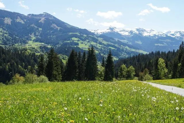 Wanderung Lendwirt – Kienzlinger Alm – Käsealm Straubing – Foto 6