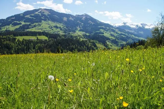Wanderung Lendwirt – Kienzlinger Alm – Käsealm Straubing – Foto 7