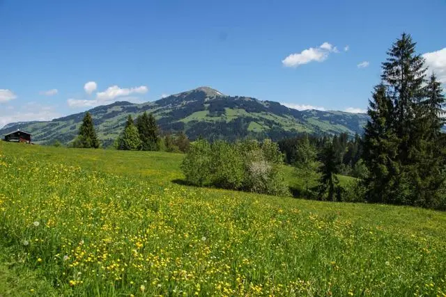 Wanderung Lendwirt – Kienzlinger Alm – Käsealm Straubing – Foto 8