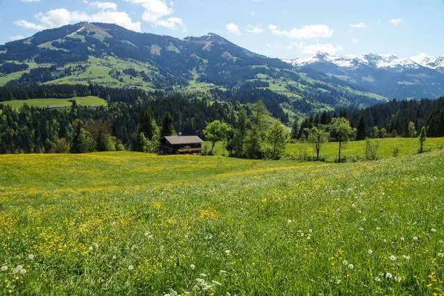 Wanderung Lendwirt – Kienzlinger Alm – Käsealm Straubing – Foto 9