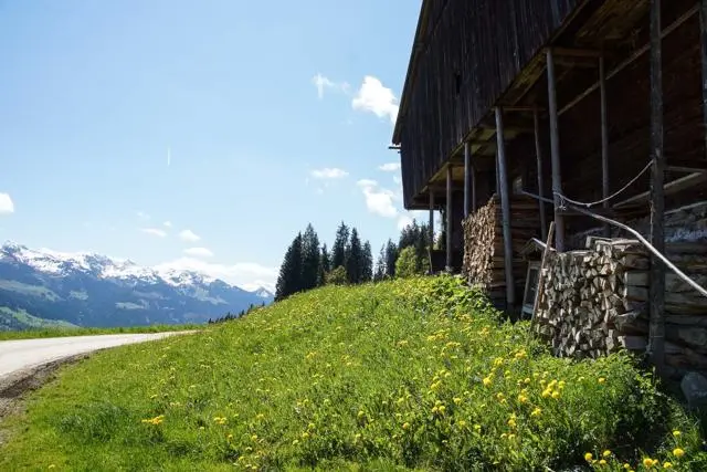 Wanderung Lendwirt – Kienzlinger Alm – Käsealm Straubing – Foto 11
