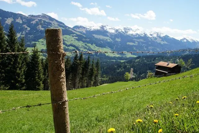 Wanderung Lendwirt – Kienzlinger Alm – Käsealm Straubing – Foto 12
