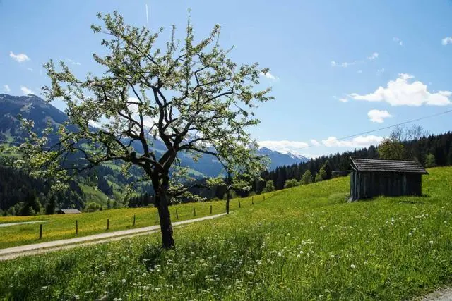 Wanderung Lendwirt – Kienzlinger Alm – Käsealm Straubing – Foto 14