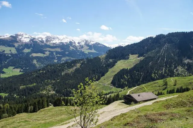 Wanderung Lendwirt – Kienzlinger Alm – Käsealm Straubing – Foto 18