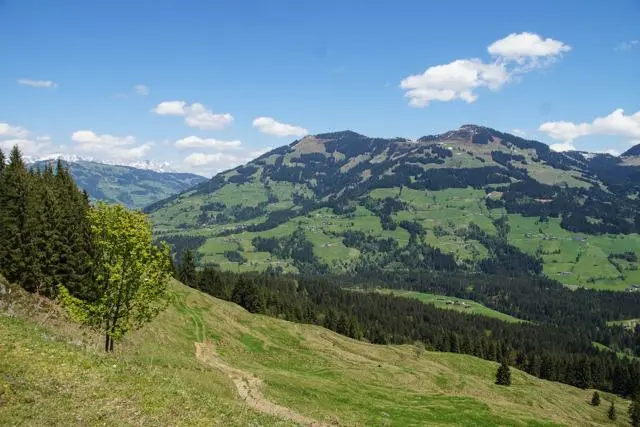 Wanderung Lendwirt – Kienzlinger Alm – Käsealm Straubing – Foto 21