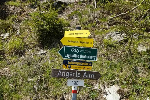 Wanderung Lendwirt – Kienzlinger Alm – Käsealm Straubing – Foto 23
