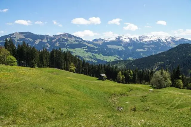 Wanderung Lendwirt – Kienzlinger Alm – Käsealm Straubing – Foto 25