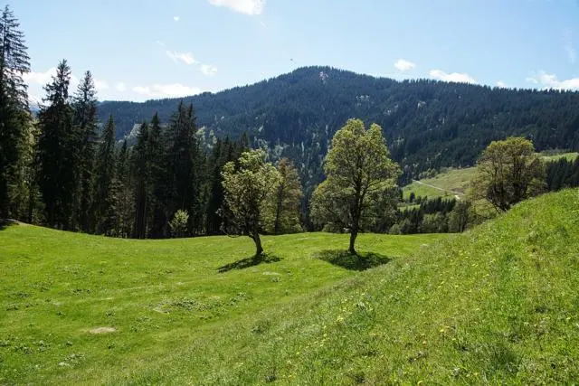 Wanderung Lendwirt – Kienzlinger Alm – Käsealm Straubing – Foto 26