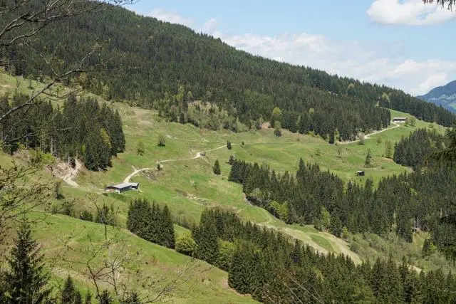 Wanderung Lendwirt – Kienzlinger Alm – Käsealm Straubing – Foto 27