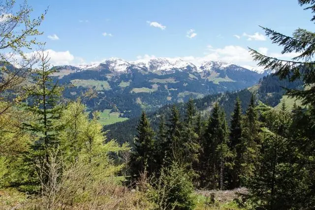 Wanderung Lendwirt – Kienzlinger Alm – Käsealm Straubing – Foto 28