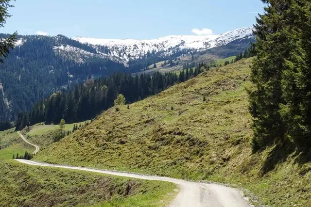 Wanderung Lendwirt – Kienzlinger Alm – Käsealm Straubing – Foto 29