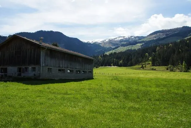 Wanderung Lendwirt – Kienzlinger Alm – Käsealm Straubing – Foto 34