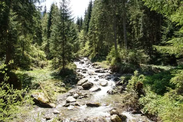 Wanderung Lendwirt – Kienzlinger Alm – Käsealm Straubing – Foto 35