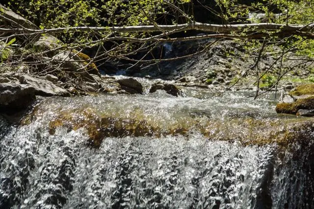 Wanderung Lendwirt – Kienzlinger Alm – Käsealm Straubing – Foto 36