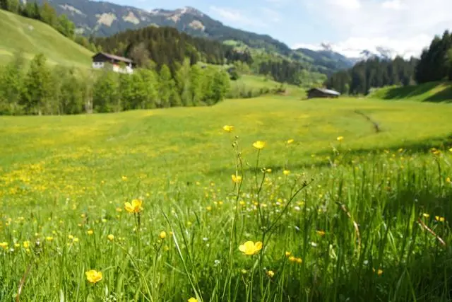 Wanderung Lendwirt – Kienzlinger Alm – Käsealm Straubing – Foto 38
