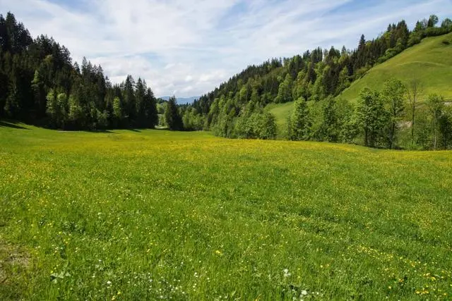 Wanderung Lendwirt – Kienzlinger Alm – Käsealm Straubing – Foto 39