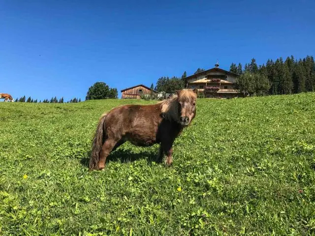 Wanderung von Itter zur Kraftalm – Foto 2