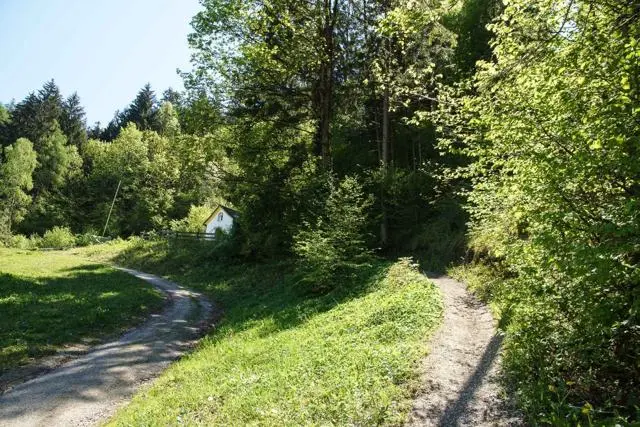 Wanderung Kundler Klamm (550 m) – Brachalm (900 m) und Kragenalm (1100 m) – Foto 8