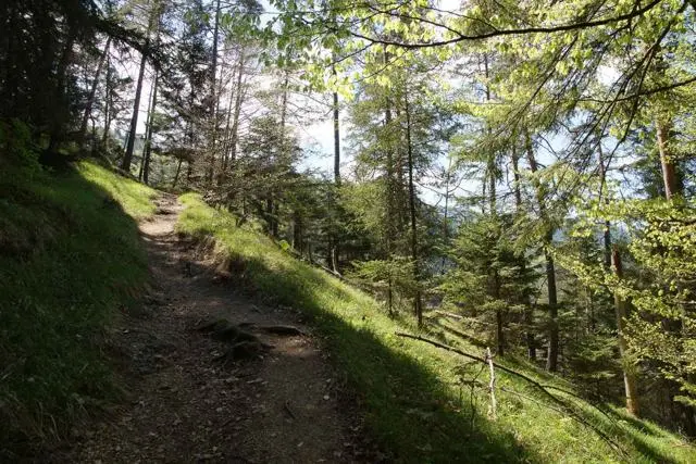 Wanderung Kundler Klamm (550 m) – Brachalm (900 m) und Kragenalm (1100 m) – Foto 9