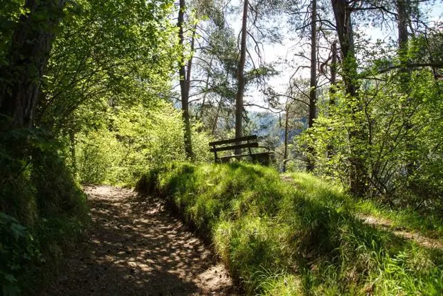 Wanderung Kundler Klamm (550 m) – Brachalm (900 m) und Kragenalm (1100 m) – Foto 10