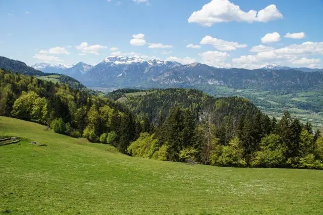 Wanderung Kundler Klamm (550 m) – Brachalm (900 m) und Kragenalm (1100 m) – Foto 12