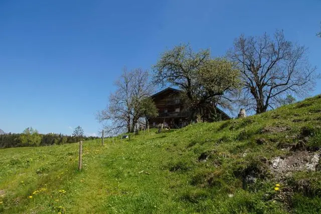 Wanderung Kundler Klamm (550 m) – Brachalm (900 m) und Kragenalm (1100 m) – Foto 14