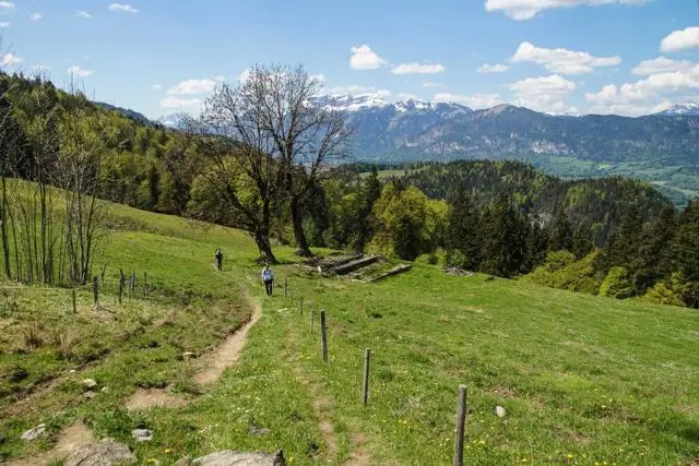 Wanderung Kundler Klamm (550 m) – Brachalm (900 m) und Kragenalm (1100 m) – Foto 15