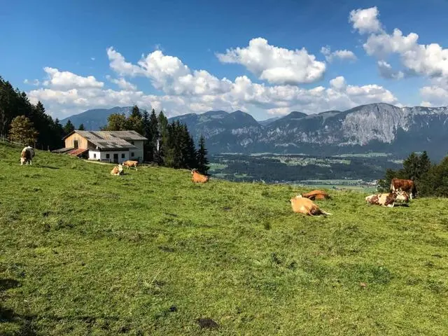 Wanderung Chalet Wastl und Grand Wastl – Möslalm – Foto 18