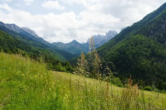 Wanderung Kufstein – Ritzau Alm – Foto 6
