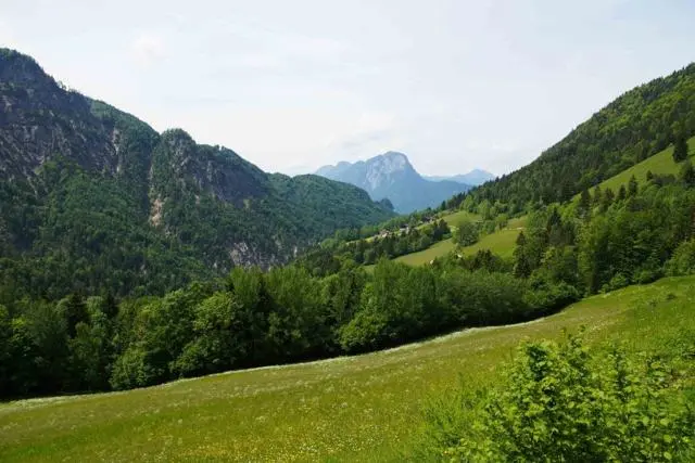 Wanderung Kufstein – Ritzau Alm – Foto 12