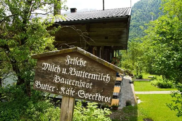 Wanderung Kufstein – Ritzau Alm – Foto 15