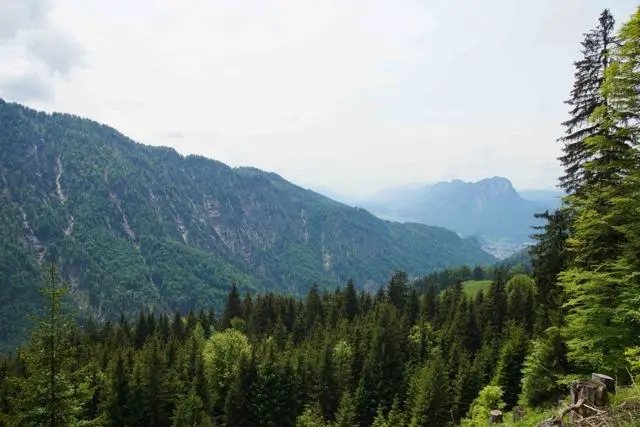 Wanderung Kufstein – Ritzau Alm – Foto 17