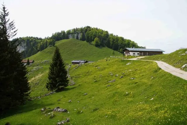 Wanderung Kufstein – Ritzau Alm – Foto 19