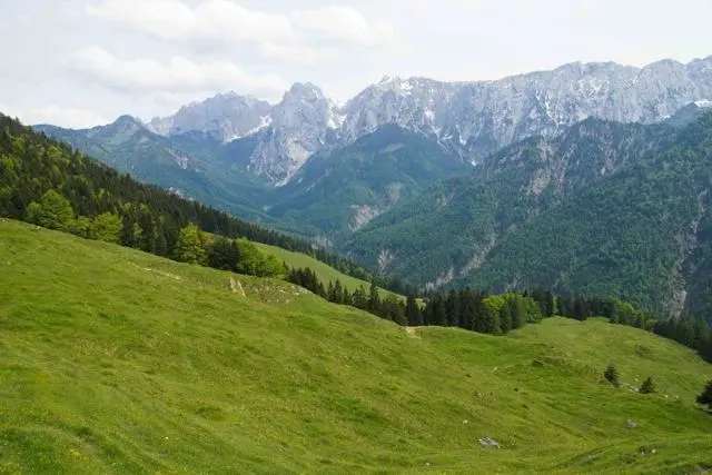 Wanderung Kufstein – Ritzau Alm – Foto 21