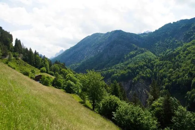 Wanderung Kufstein – Ritzau Alm – Foto 22