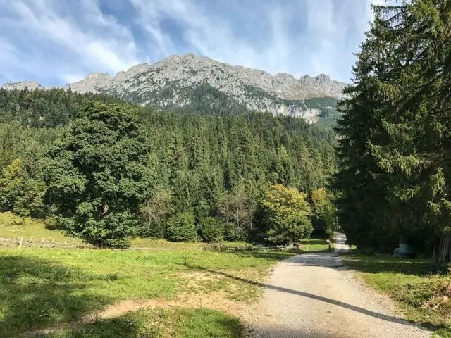 Wanderung Scheffau – Steiner Hochalm – Hinterschießlingalm – Foto 2